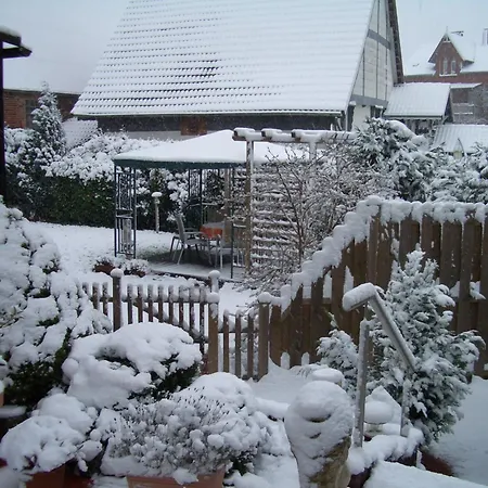 In Loewensen With Private Terrace Bad Pyrmont