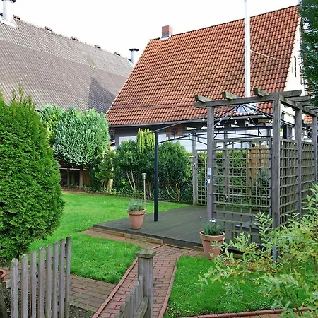 In Wood With Terrace