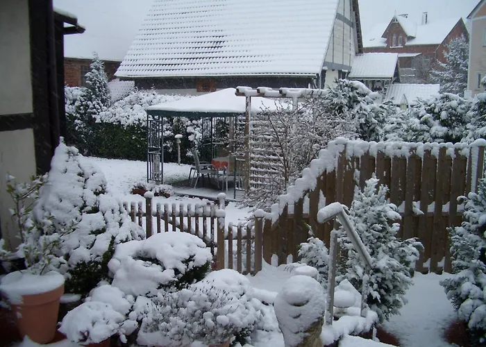 In Loewensen With Private Terrace Bad Pyrmont